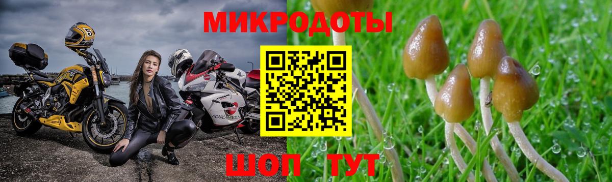 Чернушка  Галлюциногенные грибы Magic Shrooms  Вход с VPN 